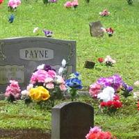 Payne Family Cemetery on Sysoon