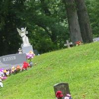 Payne Family Cemetery on Sysoon