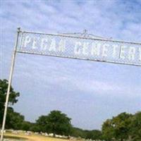 Pecan Cemetery on Sysoon
