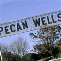 Pecan Wells Cemetery on Sysoon