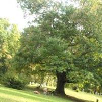 Penland Cemetery on Sysoon