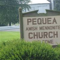 Pequea Amish Mennonite Cemetery on Sysoon