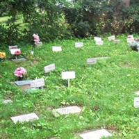 Pet Hill Cemetery on Sysoon