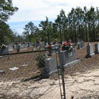 Phalti Cemetery on Sysoon