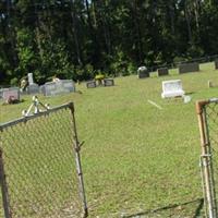 Pinckney Baptist Church Cemetery on Sysoon
