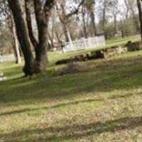 Pinckney Cemetery on Sysoon