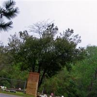 Pine Bloom Cemetery on Sysoon