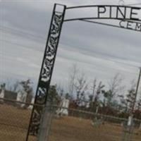 Pine Bluff Cemetery on Sysoon