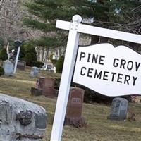 Pine Grove Cemetery on Sysoon