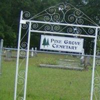 Pine Grove Cemetery on Sysoon