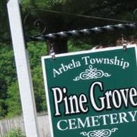 Pine Grove Cemetery on Sysoon