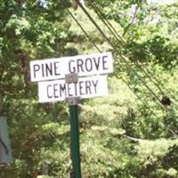 Pine Grove Cemetery on Sysoon