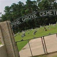 Pine Grove Cemetery on Sysoon