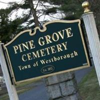 Pine Grove Cemetery on Sysoon