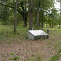 Pine Grove Methodist Cemetery on Sysoon