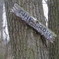Pine Grove Protestant (Independence Twp) on Sysoon