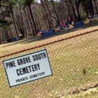 Pine Grove South Cemetery on Sysoon