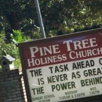 Pine Tree Holiness Church Cemetery on Sysoon