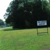 Pine Springs Cemetery on Sysoon