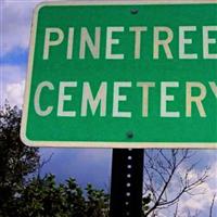 Pine Tree Cemetery on Sysoon