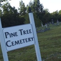 Pine Tree Cemetery on Sysoon