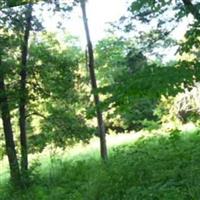 Piner Cemetery on Sysoon