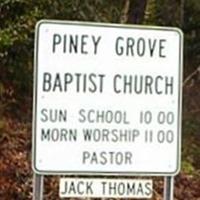 Piney Grove Baptist Church Cemetery on Sysoon