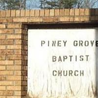 Piney Grove Baptist Church Cemetery on Sysoon