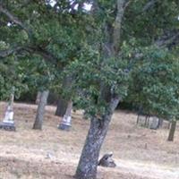 Pioneer Cemetery on Sysoon