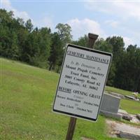 Mount Pisgah Baptist Church Cemetery on Sysoon