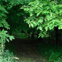 Pleasant Hill Cemetery on Sysoon