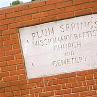 Plum Springs Cemetery on Sysoon