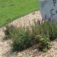 Polsley Cemetery on Sysoon