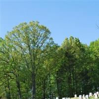 Union Primitive Baptist Church Cemetery on Sysoon