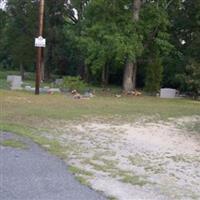 Salem Primitive Baptist Church Cemetery on Sysoon