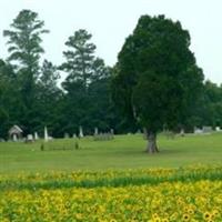 Raccoon Creek Baptist Church Cemetery on Sysoon