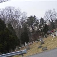 Raccoon Cemetery on Sysoon
