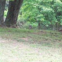 Ragland Family Cemetery on Sysoon