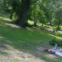 Reddick Community Cemetery on Sysoon