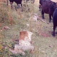 Reynolds Singleton Cemetery Reynolds Singleton Cemetery on Sysoon