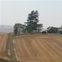 Riggs Cemetery on Sysoon