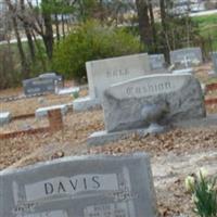 Riverside Pioneer Cemetery on Sysoon