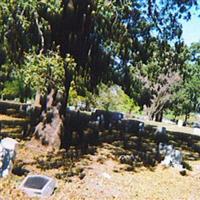 Robinson Cemetery (African American) on Sysoon