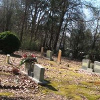 Robinson Cemetery on Sysoon