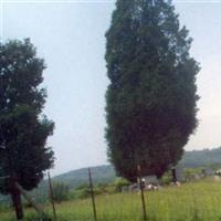 Rogers Cemetery on Sysoon