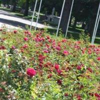 Roselawn Cemetery on Sysoon