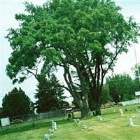 Roy City Cemetery on Sysoon