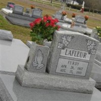 Sacred Heart Cemetery (Prairie Ronde) on Sysoon