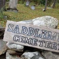 Saddlemire Family Cemetery on Sysoon