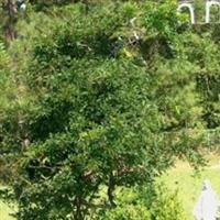 Saint Anne Cemetery on Sysoon